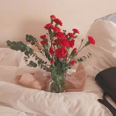 剑网3指尖江湖腾讯版下载